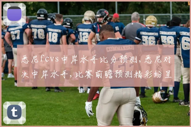 悉尼fcvs中岸水手比分预测,悉尼对决中岸水手,比赛前瞻预测精彩纷呈,一触即发