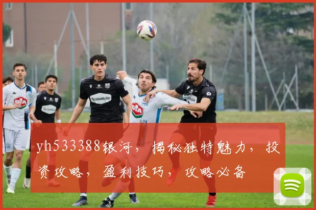 yh533388银河，揭秘独特魅力，投资攻略，盈利技巧，攻略必备