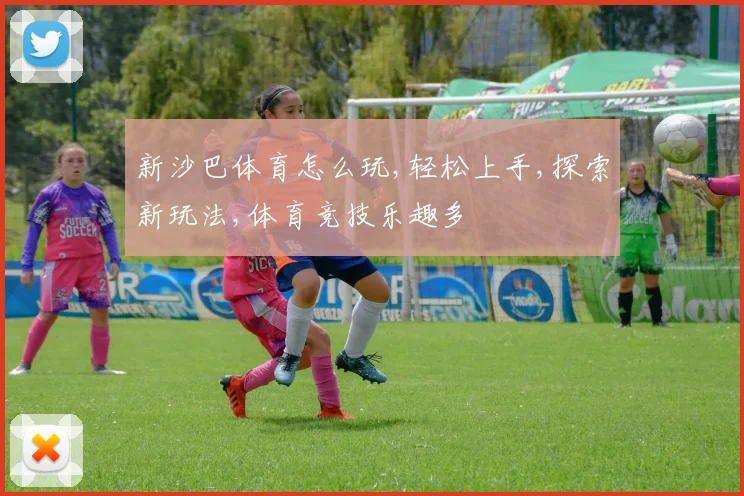 新沙巴体育怎么玩,轻松上手,探索新玩法,体育竞技乐趣多