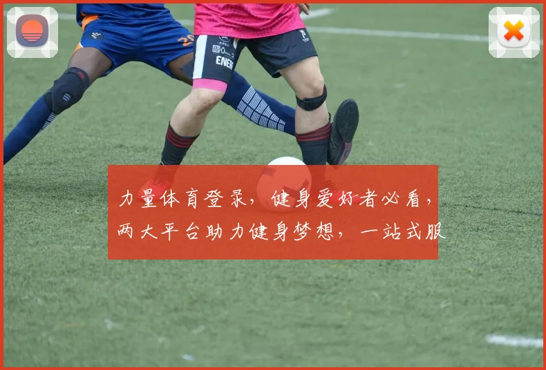 力量体育登录，健身爱好者必看，两大平台助力健身梦想，一站式服务体验