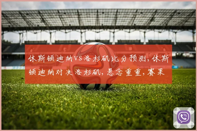休斯顿迪纳vs洛杉矶比分预测,休斯顿迪纳对决洛杉矶,悬念重重,赛果几何
