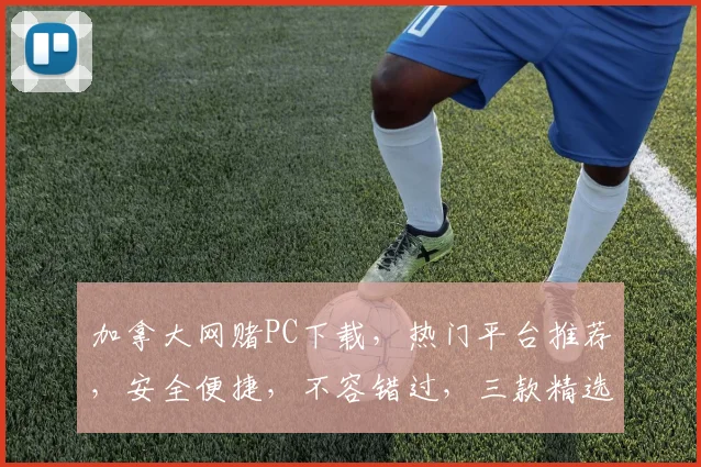 加拿大网赌PC下载，热门平台推荐，安全便捷，不容错过，三款精选，体验无限